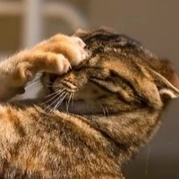 trầm cảm