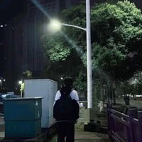 Lý Ngưng