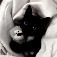 Em trong hình dạng còn mèo