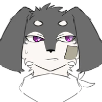 Dvion