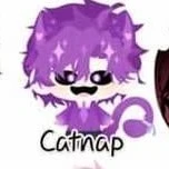 hiha catnap