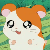 Hệ Thống Hamster [Jin]