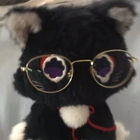 tg_mèo cận đeo kính