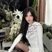 Hoàng Diệp Anh 
