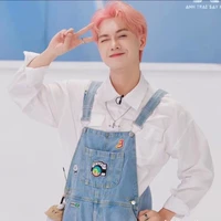 Nguyễn  Thái Sơn