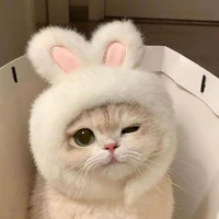 Con tác giả hướng tùm lum 