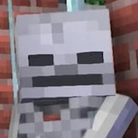 Skeleton