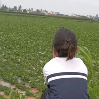 t/g lười viết