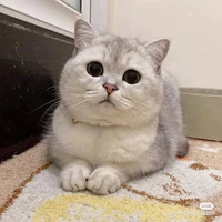 Kẹo