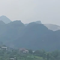 Tác giả