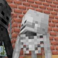 Skeleton