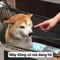 Jinwoo彡