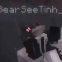 bear