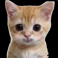 Tacgiacutii