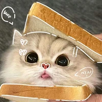 lynee_tác giả