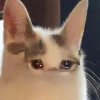 t/g ghét môn Tiếng Anh