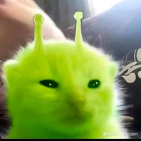 t/g