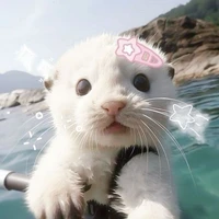 Người huyền bí:)