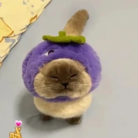 all lớp