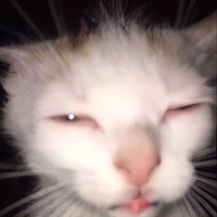 ？？？