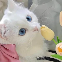 Tác Giả