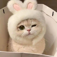 meoly