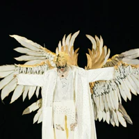 Nguyễn Quang Anh ( Dạng Thần )