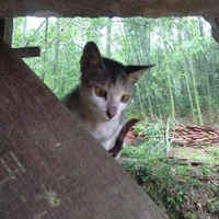 Tác giả không phải trong ảnh