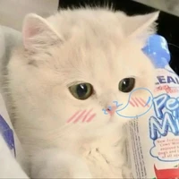 kenii🐑>Khương<