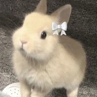 Tienaa🍒>Tuyền<