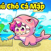 Hiha Chó Cá Mập