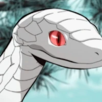 kaburamaru