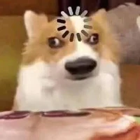 tgiaa naaa