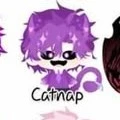 hiha catnap