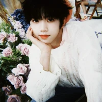 Trương Hàm Thụy