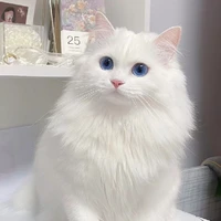 Đại mimi (Haruhi Neko)