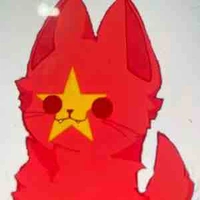 Pet