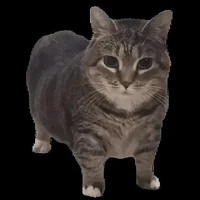 tg mê u i a