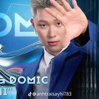 Trần Đăng Dương- Domic