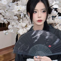 Hoàng Diệp Anh 