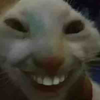 Đa nv