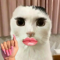 Hệ Thống đẹp zai nhất của đất (Zinserl)