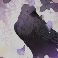 kaishi [quạ của Y/n]