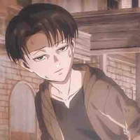 Levi