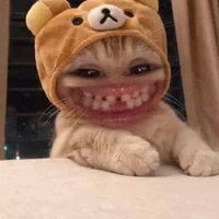 tác giả bị khùn