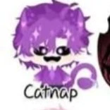 Hiha_Catnap