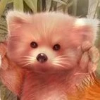 Hệ Thống 1138_Tiểu Hoàng