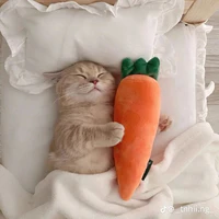 tác giả lười