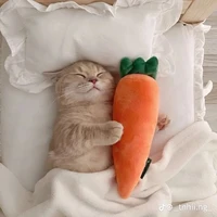 tác giả lười