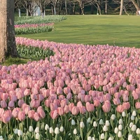 hệ thống (⁠≧⁠▽⁠≦⁠)